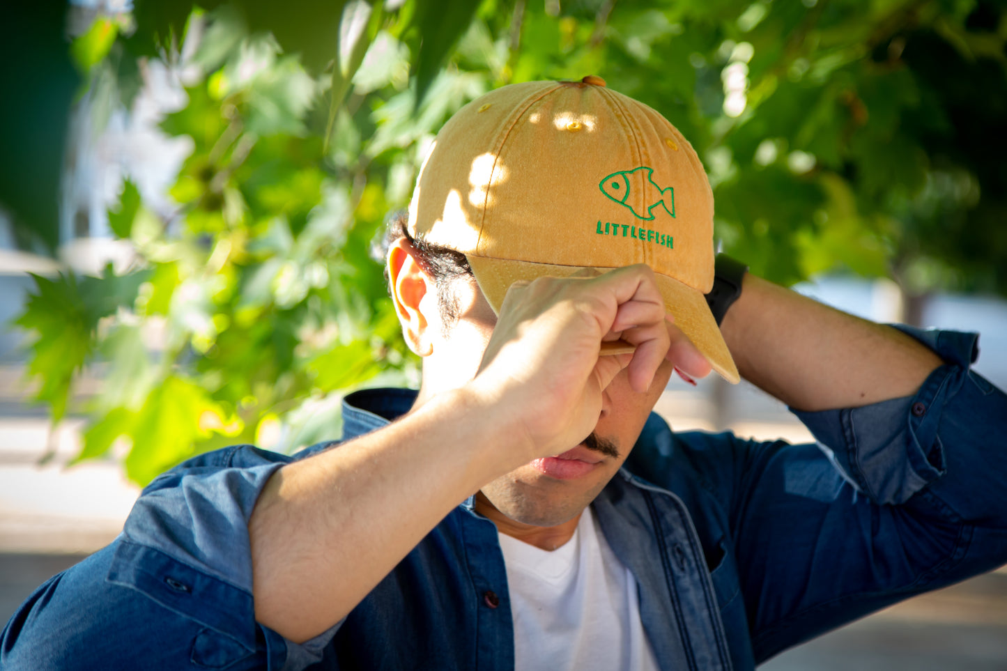 Gorra Monteverde